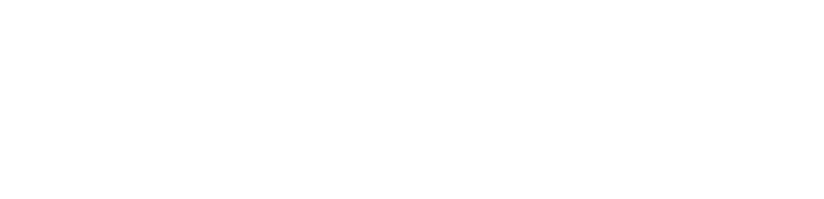 Palantir Logo